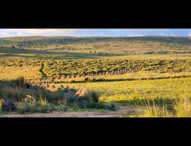 FARM FOR SALE IN STILBAAI RURAL